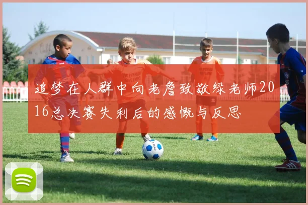 追梦在人群中向老詹致敬绿老师2016总决赛失利后的感慨与反思
